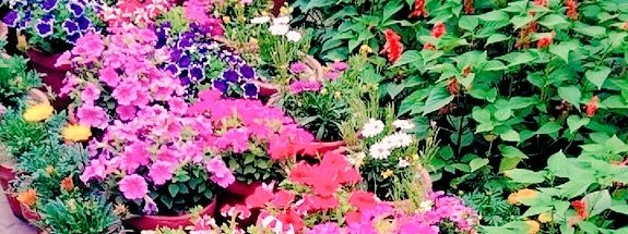 Your tears are not unnoticed 
 Every drop is seen, Every pain is heard by ALLAHﷻ🫀