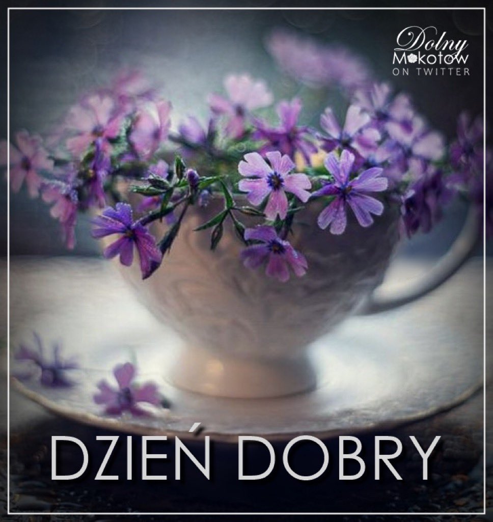DolnyMokotow 🇵🇱 #TeamNawrocki (@dolnymokotow) on Twitter photo 