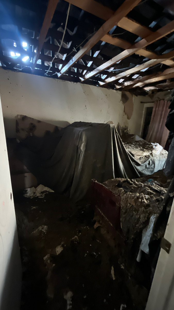 properal on twitch tweet media