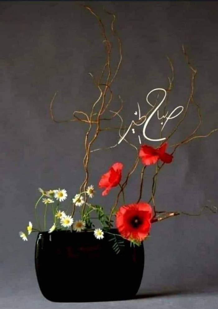 يارب صباحًا زاهيًا مُشرقًاً 
تطوّقنا به رحماتك
وتُرافقنا به بركاتك
ويحلّ به علينا توفيقك وتُرينا به كل خير  

 #صباح_الخيرᅠ