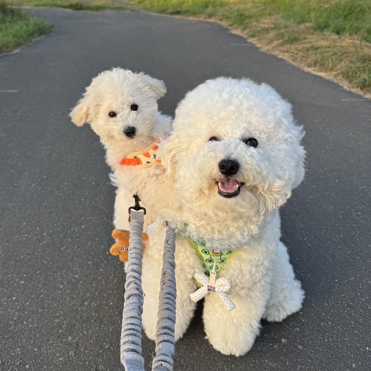 奇跡の一枚😂💗