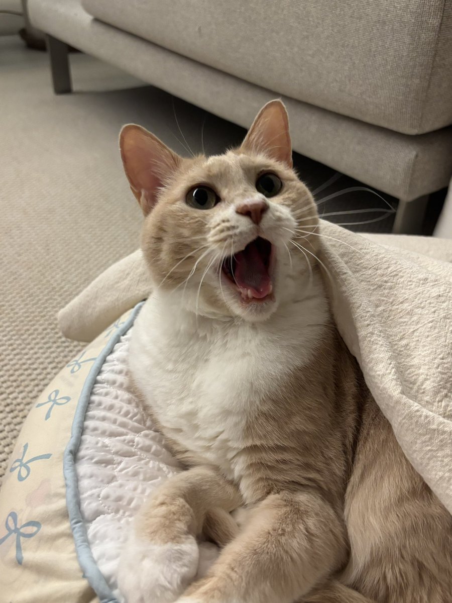 더워!!!!!!!!!!! 여!!!!!!름!!!!!!!!!!!!! 더!!!!!!!워!!!!! 에어컨!!!!!!!!!! 틀어!!!!!!!!!!!!!!!!!!에!!!!!!어!!!!!!컨!!!!!!!!!을!!!!!!!!틀!!!!!!!어!!!!!!!!!!!!!!!여름!!!!!!! 너무!!!!!!!!!!!더워!!!!!!!!!!!!!!!!!너무!!!!!!!!!너!!!!!!무!!!!!!!!!!더!!!!!!!!!!!!!!!워!!!!!!!!!!!!!더워!!!!