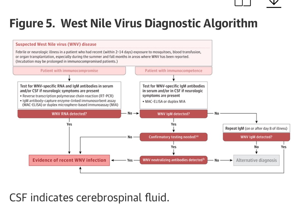 En <a href="/JAMA_current/">JAMA</a> revisión 📚✍🏻sobre #WestNileVirus 🦟🦠 Incluye:
🦠Fisiopatologia
🦠Clínica 🤒👀🧠
🦠Diagnóstico🧪🧬
🦠Tratamiento💊
🦠Pronóstico🔮
🦠Prevención ❌🦟
IMPORTANTE conocerla para diagnosticarla‼️🕵🏻 
🔗🆓jamanetwork.com/journals/jama/…