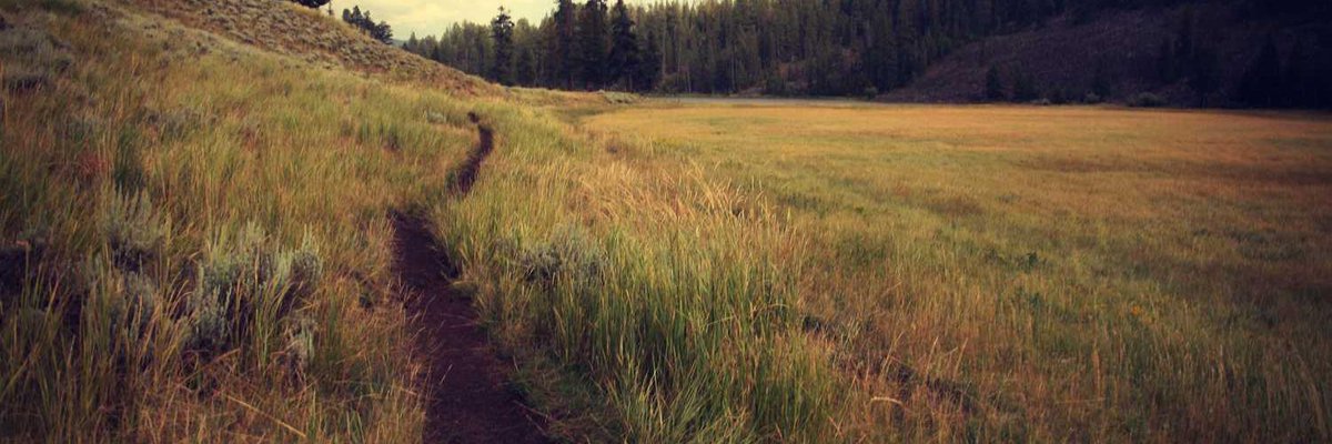 آٻوُرنْڊ tweet media