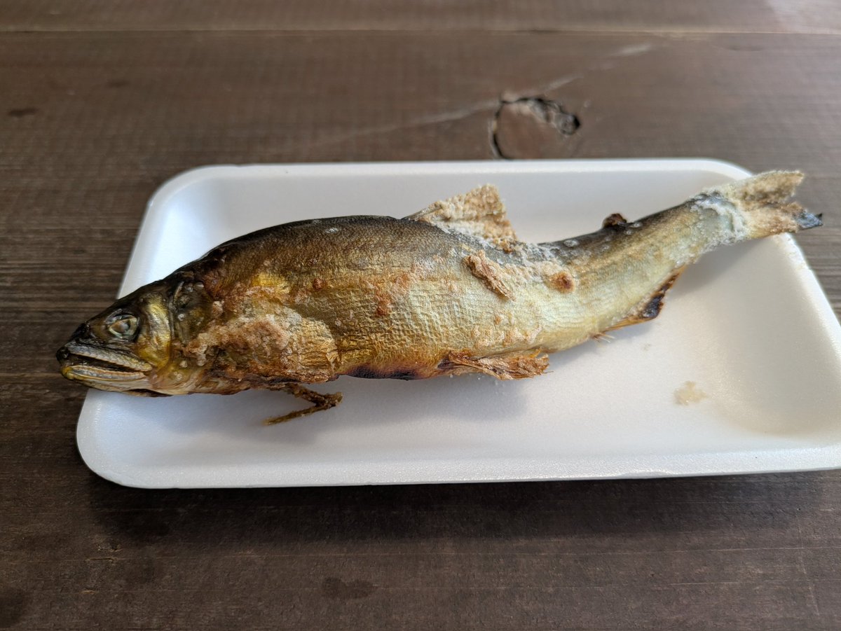 おはこんにちは☀
今日はお休みということで、以前写真を見かけて気になってた山形にある空気神社に行ってみました⛩️

夜はライトアップもされるらしいけど、結構山道走るので夜行く人は大変そう…w