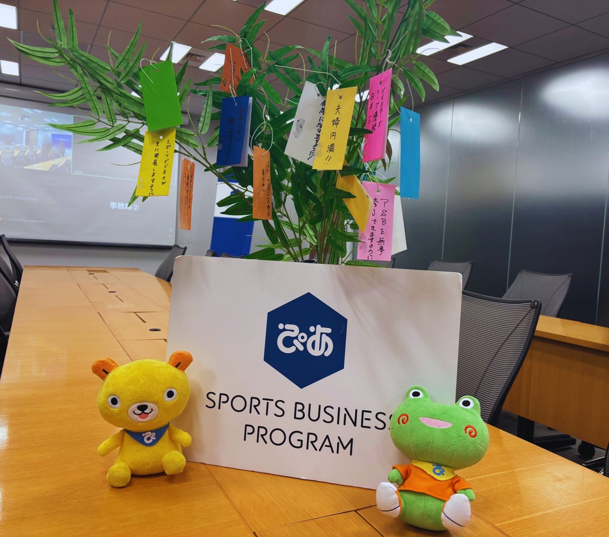 🎋🌟7月7日は七夕🌟🎋

昨日の講義の際に 笹と短冊を用意し、
受講生の皆さんに願いごとを書いていただきました✨

スポーツへの思い、将来の夢、好きなチームへの願い…
東京校、オンライン校関わらず、
一人ひとりの想いが詰まった短冊が並んでいます⭐️

皆さんの願いが空に届きますように🌌