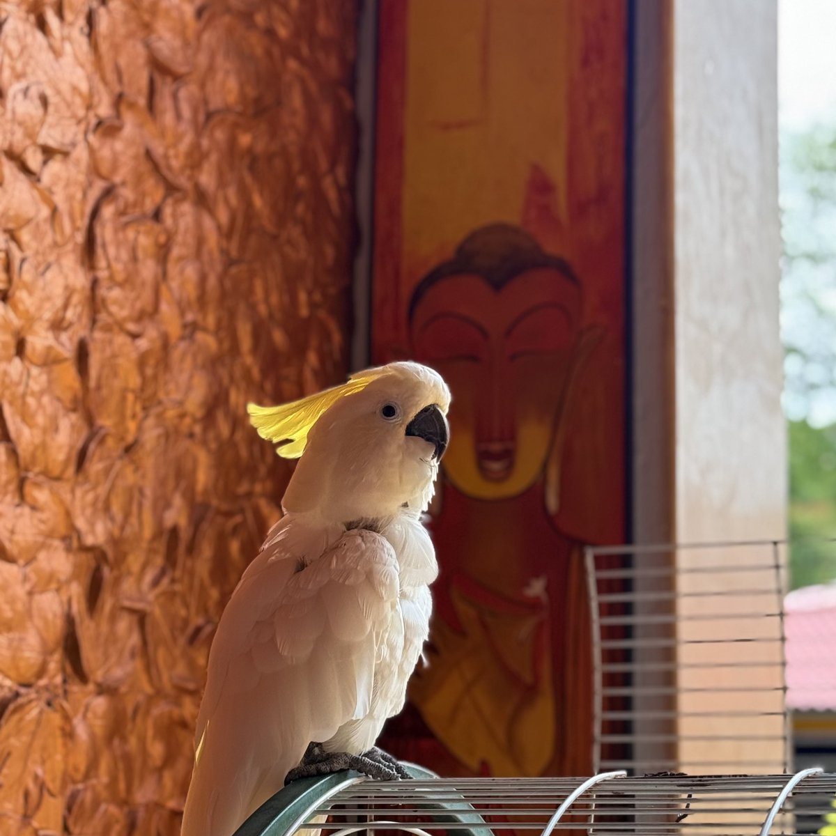 Team retreat went like a goa trip with the boys.