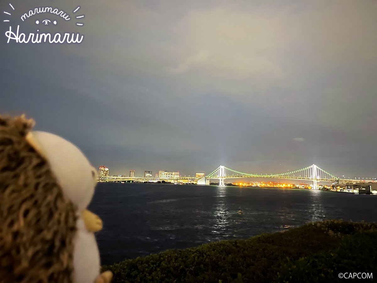 ooHARIMARU's tweet image. とおざかる やけいをみると
みょうにさみしくなるのは なぜでしょうか…

＃はりまる🦔　＃おセンチなきぶんです