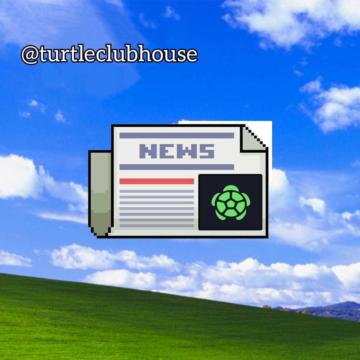 Orange 🍊 tweet media