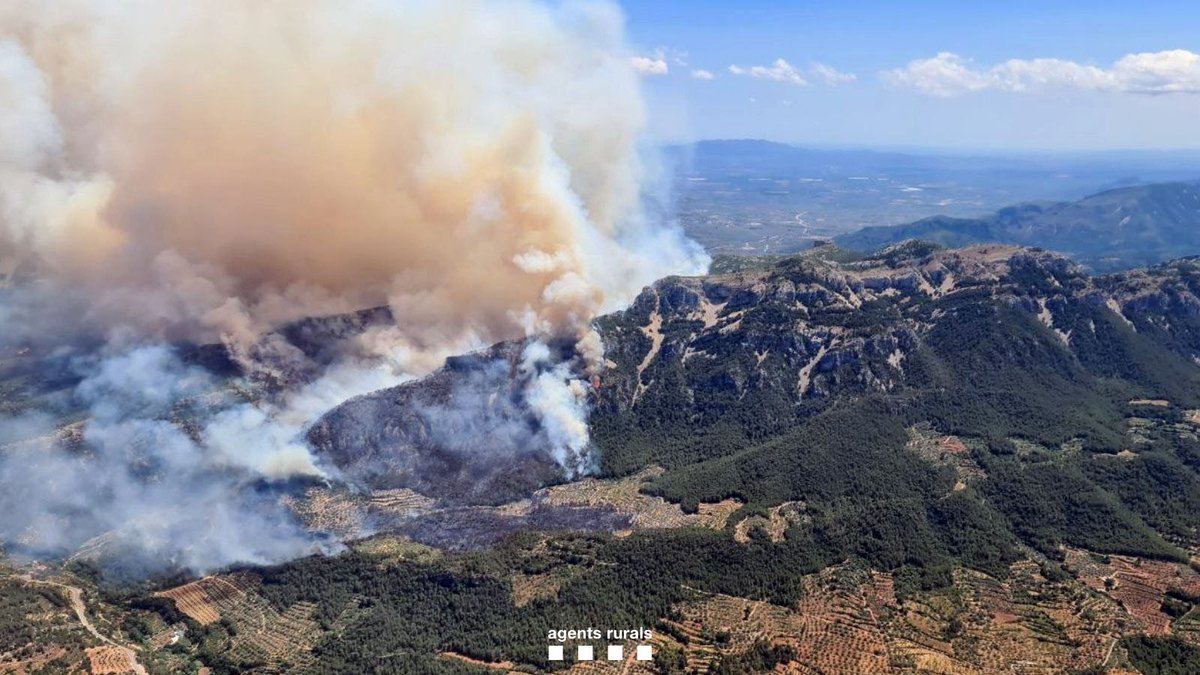 🔴 ÚLTIMA HORA | Cataluña solicita la ayuda de la UME para controlar el incendio en el sur de Tarragona tras empeorar a causa del viento
cadenaser.com/cataluna/2025/…