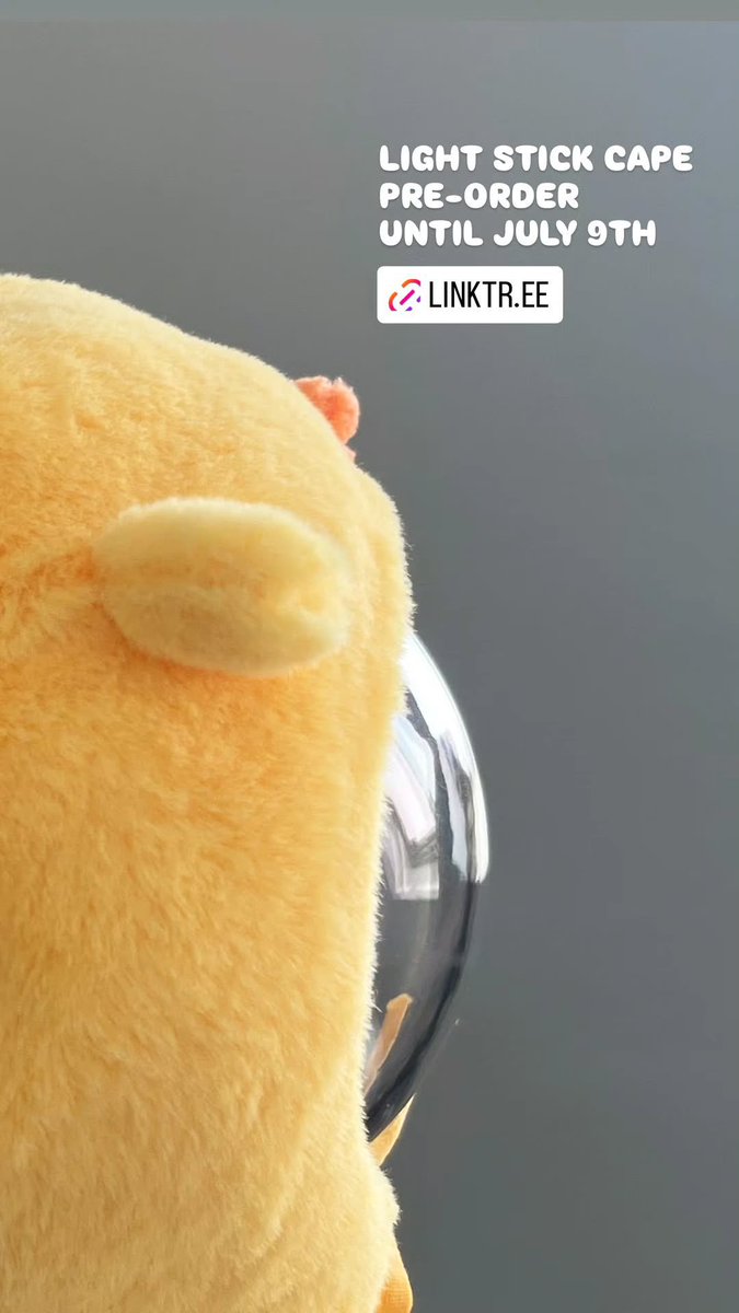 똑같네 6 ɞ 6