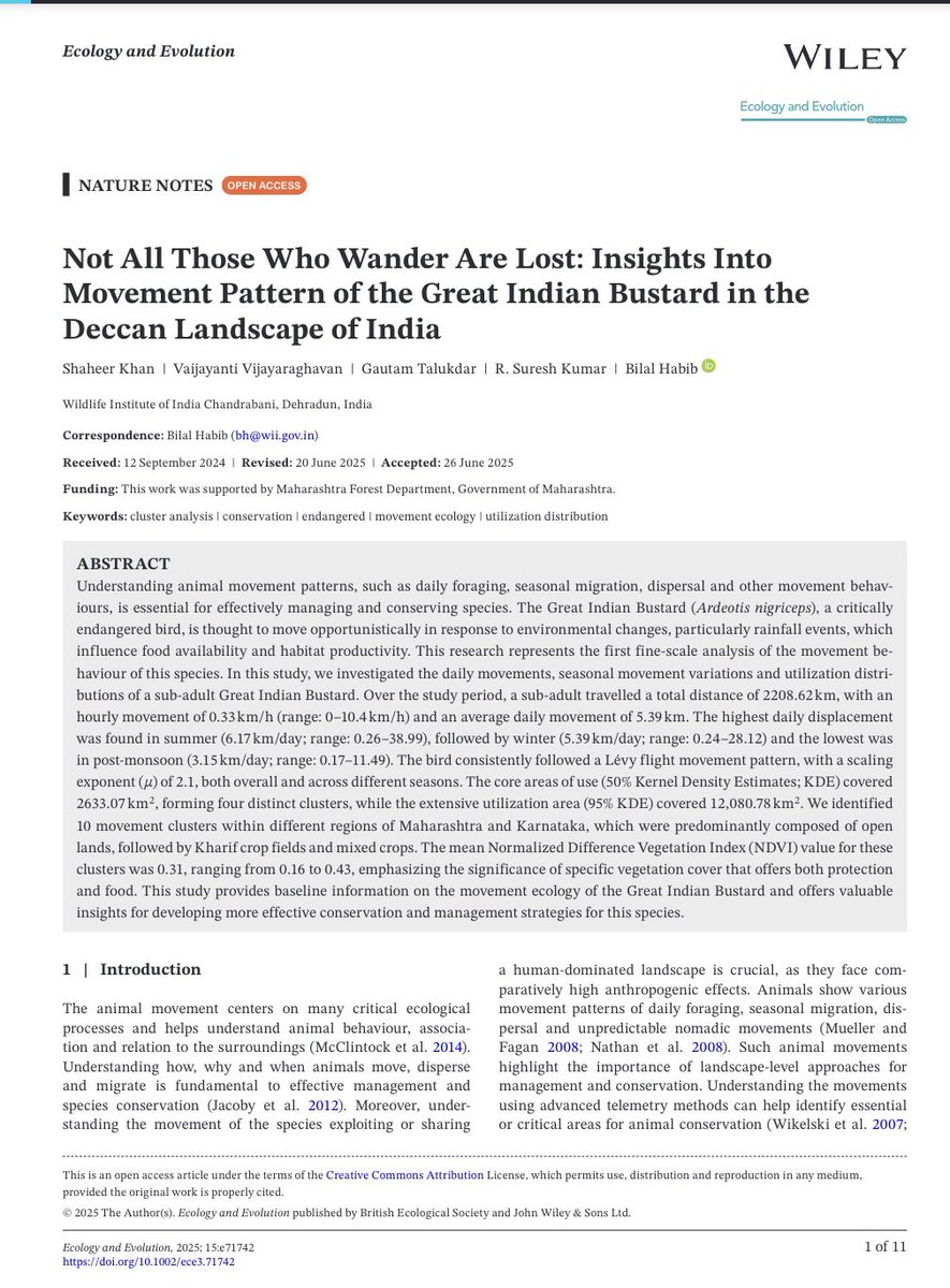 Bilal Habib (@wildwithwolves) on Twitter photo Not All Those Who Wander Are Lost: Insights Into Movement Pattern of the Great Indian Bustard in the Deccan Landscape of India <a href="/shaheerkhan/">Shaheer Khan, PhD 🇮🇳🐺</a>, Vaijayanti Vijayaraghavan, Gautam Talukdar, R. Suresh Kumar & <a href="/wildwithwolves/">Bilal Habib</a>. <a href="/bhlab_india/">BH LAB</a> <a href="/wii_india/">Wildlife Institute of India</a> <a href="/jwls_in/">Journal of Wildlife Science</a> <a href="/iccon_india/">ICCON 2025</a> Not All Those Who Wander Are Lost: Insights Into Movement Pattern of the Great Indian Bustard in the Deccan Landscape of India <a href="/shaheerkhan/">Shaheer Khan, PhD 🇮🇳🐺</a>, Vaijayanti Vijayaraghavan, Gautam Talukdar, R. Suresh Kumar & <a href="/wildwithwolves/">Bilal Habib</a>. <a href="/bhlab_india/">BH LAB</a> <a href="/wii_india/">Wildlife Institute of India</a> <a href="/jwls_in/">Journal of Wildlife Science</a> <a href="/iccon_india/">ICCON 2025</a>