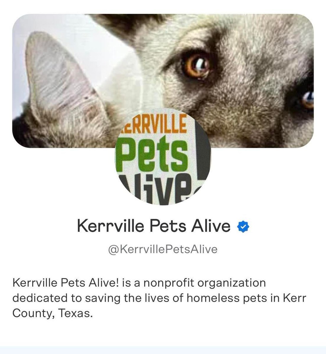 Kerrville Flooding:

Please list lost or found pets on this form:
buff.ly/Ct2JQSC

Per Kerrville Pets Alive
buff.ly/Vznf1i9

#KerrCounty #KerrvilleTX #TexasFloods