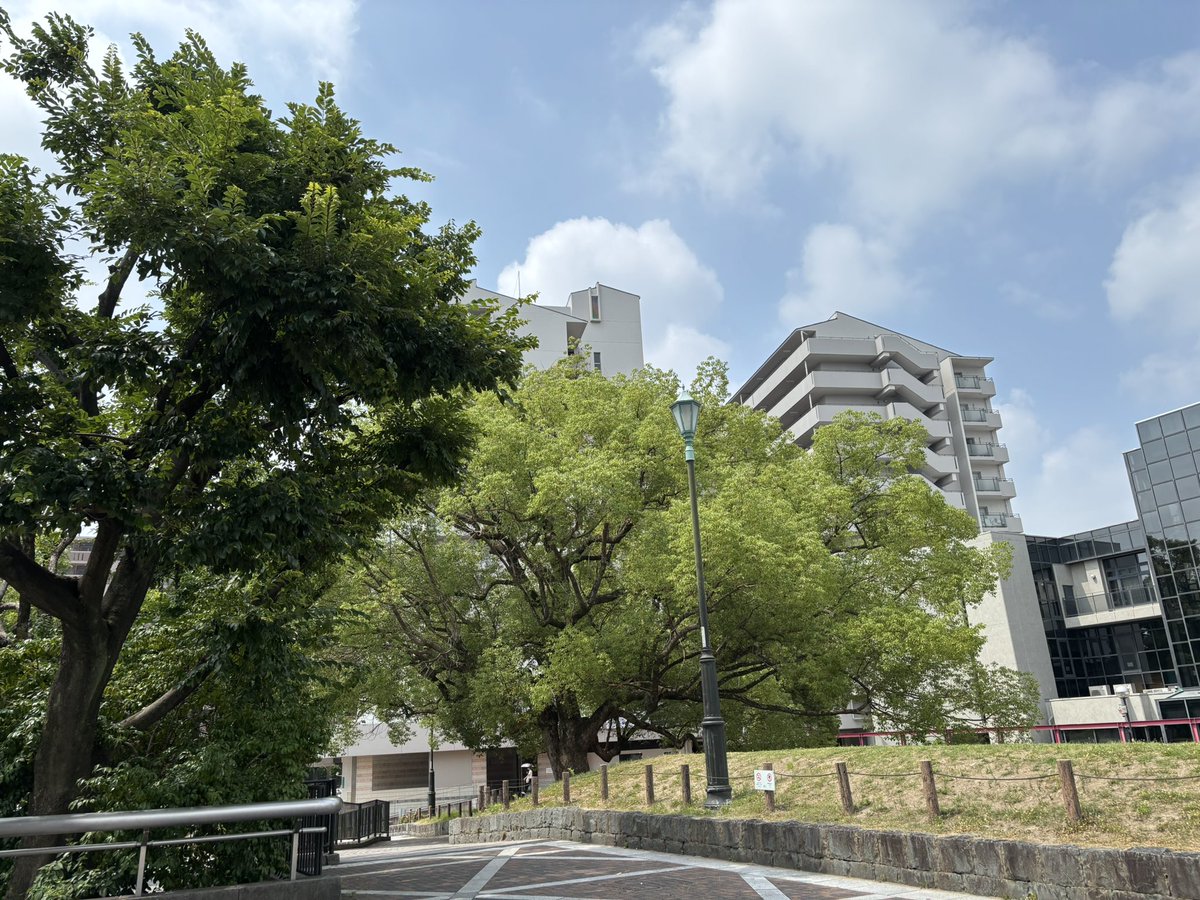 TMG_pal's tweet photo. 流石に暑すぎて倒れるわこりゃ https://t.co/oeLhu8wwWa