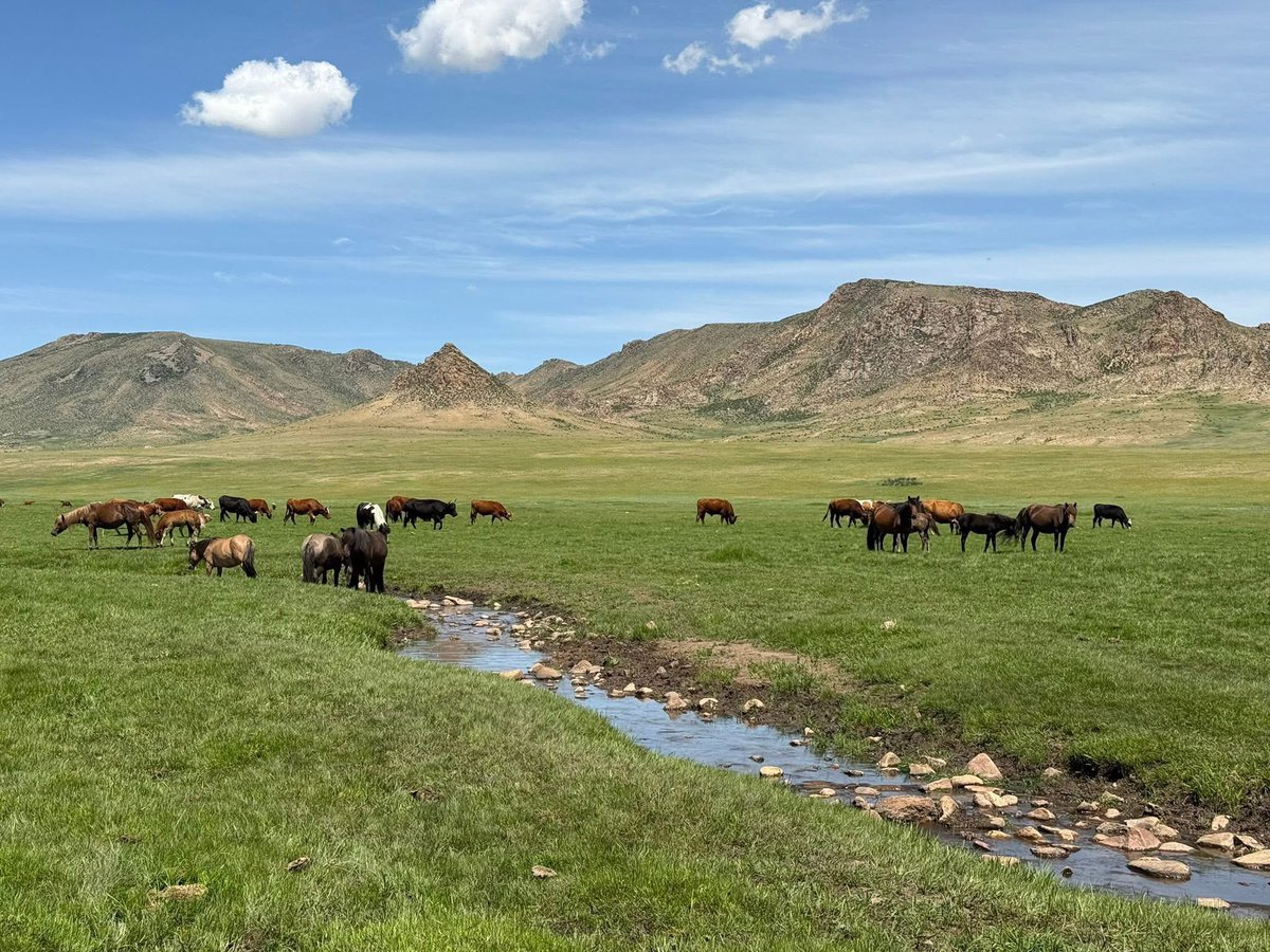 Зуны амралтаар хөдөө айлд амрах хүсэлтэй хүмүүс ийшээ очоорой 💗 Манай найз малчин айлуудаа дэмжих зорилгоор хэрэгжүүлж буй төслийнх нь нэг юмаа facebook.com/share/16T3MEQM…