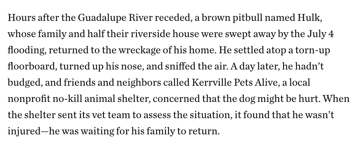 Ben Rowen (@ben_c_rowen) on Twitter photo The devastating lede of <a href="/sashavono/">Sasha von Oldershausen</a>'s reporting from a ride-along with folks saving pets after the Guadalupe flood, for <a href="/TexasMonthly/">Texas Monthly</a> (link threaded) The devastating lede of <a href="/sashavono/">Sasha von Oldershausen</a>'s reporting from a ride-along with folks saving pets after the Guadalupe flood, for <a href="/TexasMonthly/">Texas Monthly</a> (link threaded)