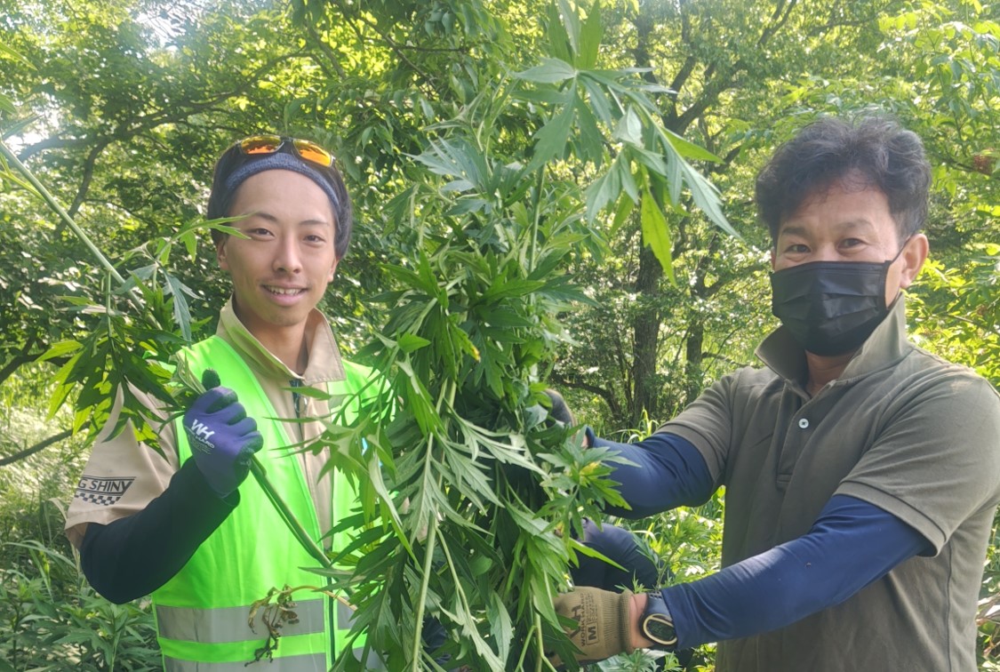 Gsdf_Camp_Iwate's tweet image. #岩手 #自衛隊 #曹友会 #清掃奉仕活動
　６月２８日（土）岩手駐屯地曹友会は、滝沢市観光物産課、滝沢市山岳協会と協力し岩手山馬返しキャンプ場及び市道沿いの除草、春子谷地湿原及び相の沢キャンプ場の外来植物オオハンゴン草除去を実施しました。