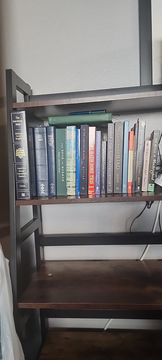 inkstaindgrmnts's tweet photo. Happiness is a new book shelf!!
#timetoread #ldsx https://t.co/R1F5dOez9B