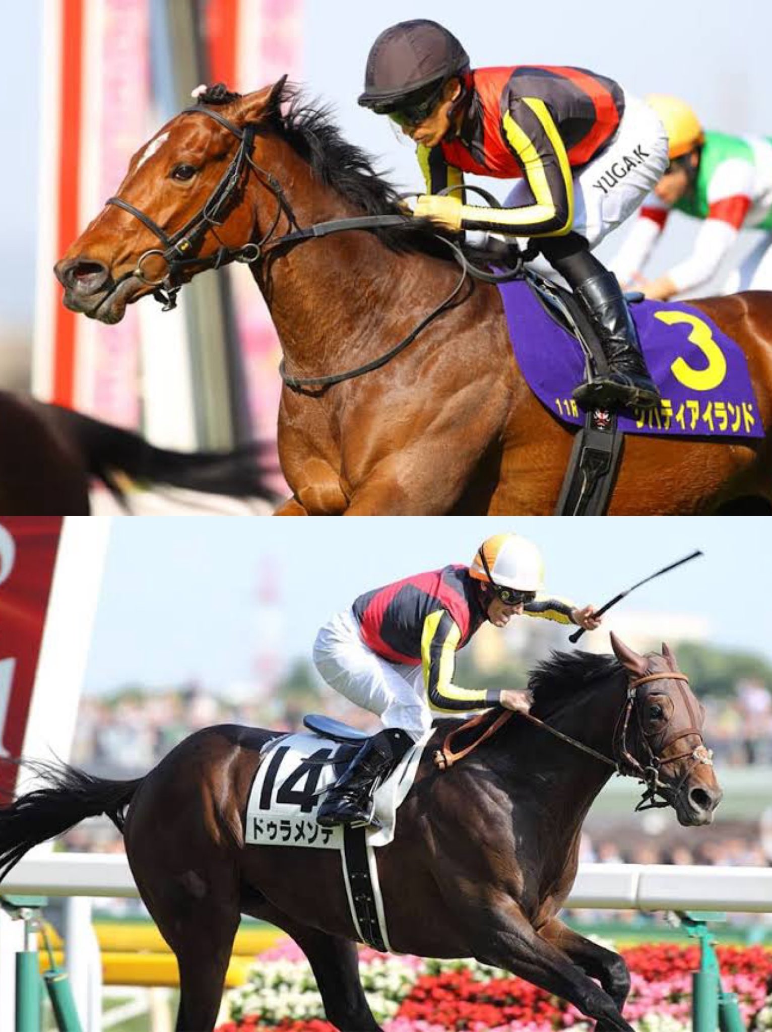 まねき馬 追悼SP No.2470リバティアイランド まねき馬 No.2470リバティアイランド追悼SP（まねき馬 No.2470
