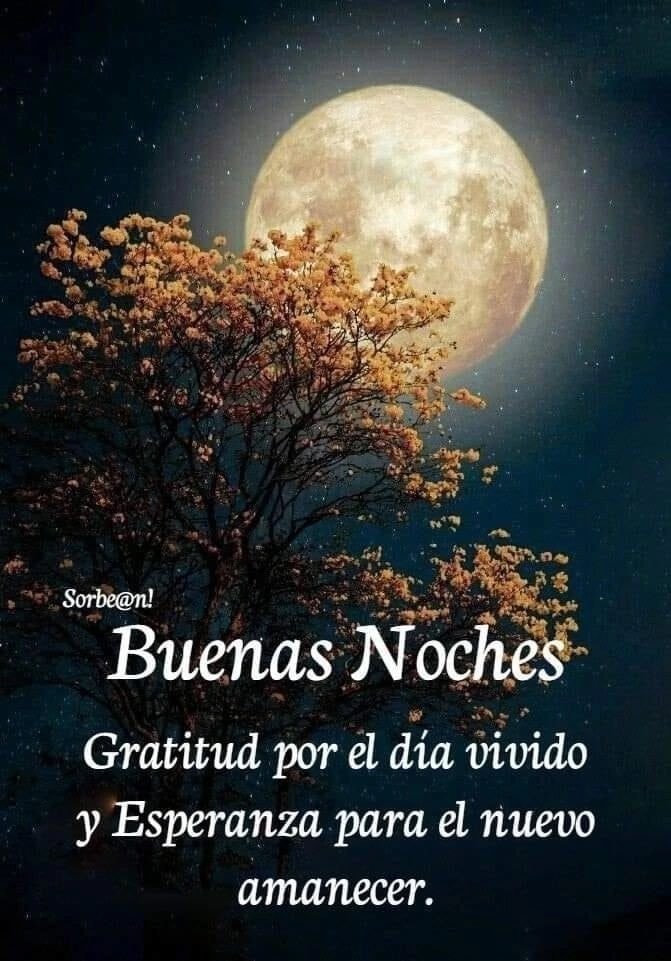 Buenas noches 🌃
Благодарность за прожитый день
и надежда на новый рассвет 🙏
