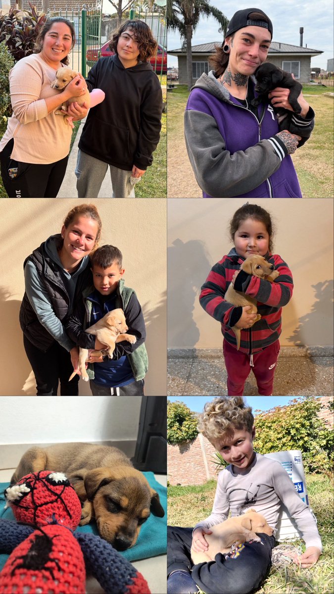 RescataditosF's tweet image. ✨Seis cachorritas de aquella camada que hoy conocen el calor de un hogar. Seis pequeñas que ahora tienen un nombre, una cama y una familia que las espera con amor cada día🩷
Gracias por adoptar con el corazón!❣️