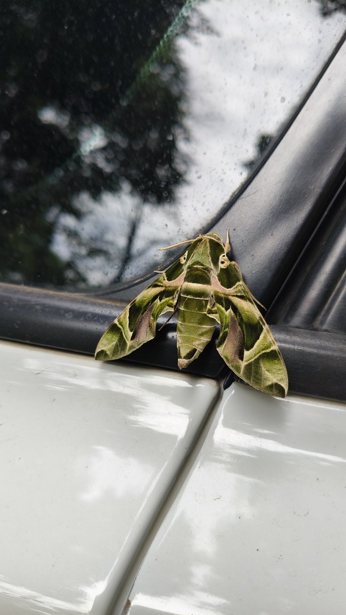 ข้อดีของการอยู่ในป่า