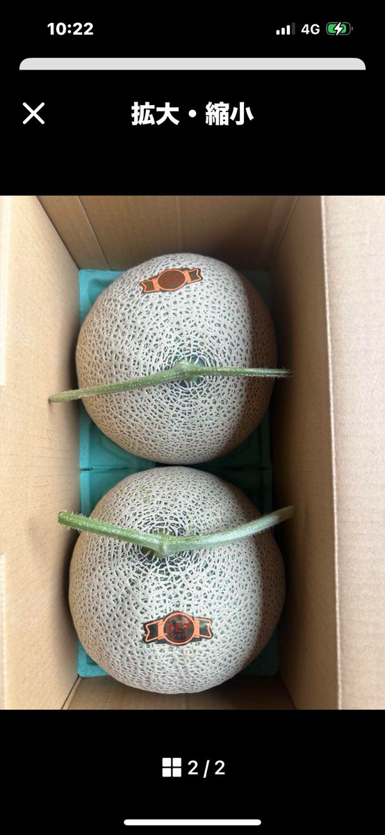 今年も購入しました。

北海道・赤肉メロン
楽しみ楽しみです♪
#北海道赤肉メロン
#農家直送