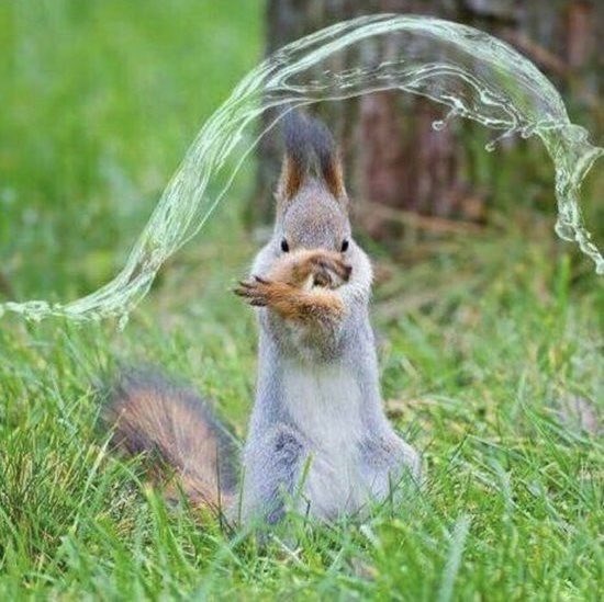 In six words or fewer, write a story about this photo.
#sixwordstory #WritingCommunity