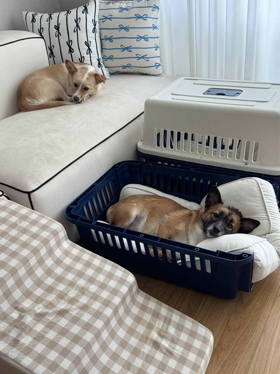 너넨 좋겟다 일도 안 하고