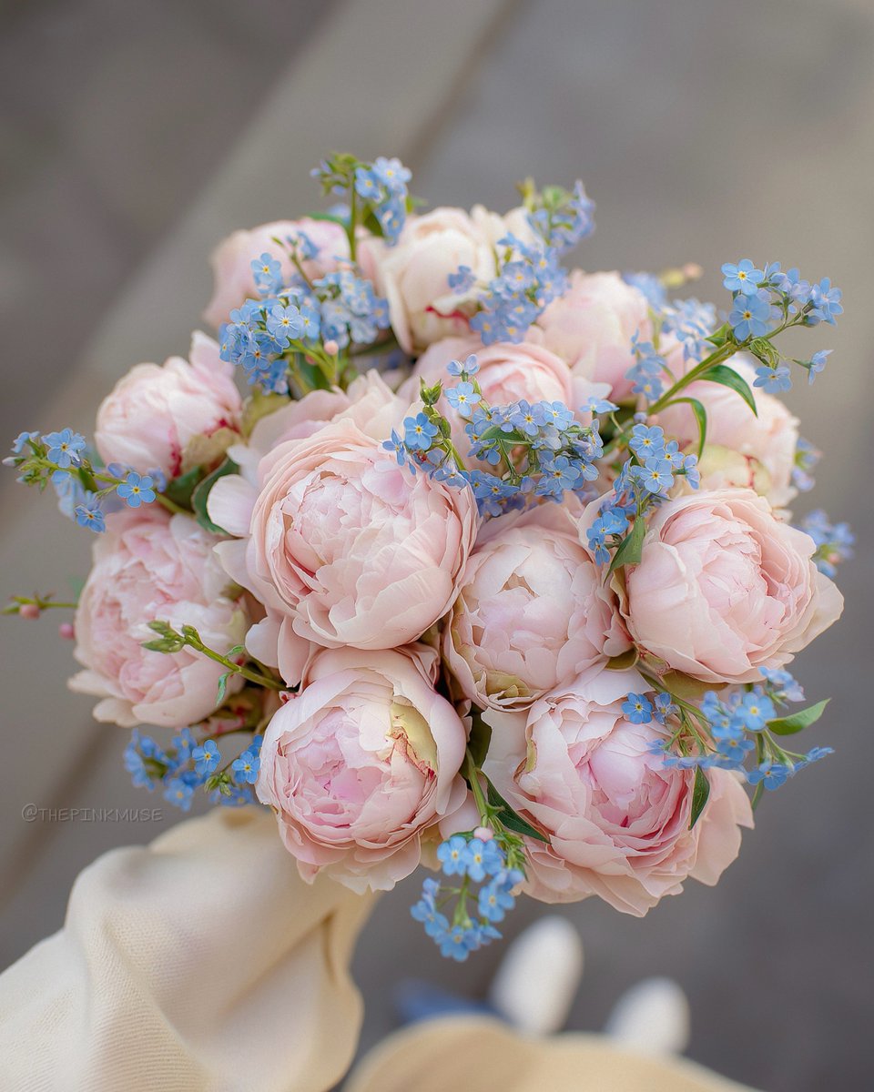 Peonies &amp; forget-me-nots