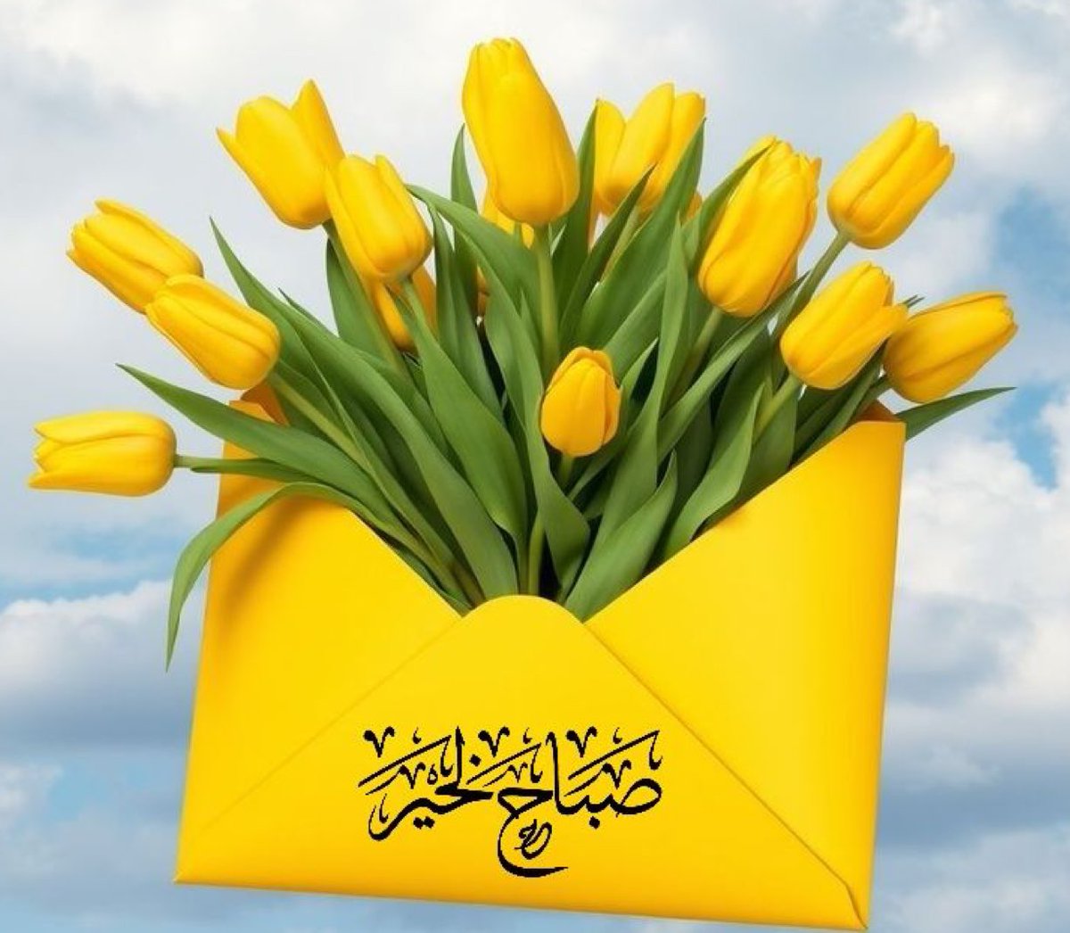 #صباحيات_العنود

؛؛

كأنما الفجرُ مبعوثٌ يُنَبئنا
أن الشدائد يأتي بعدها الفرج .
الحمدُ للّٰهِ الذي جعلَ لنا من الفجرِ
ميدانًا نُرمِّم فيه ما هدمته الحياة..

؛؛