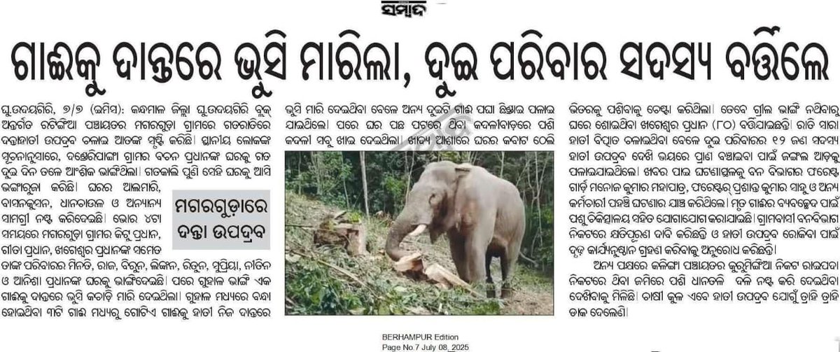 Aman Chandra Nayak, Socialist ✍️ (@amonnayak13) on Twitter photo Hon’ble Sir, I kindly request you to look into this matter and take necessary action <a href="/ForestDeptt/">Odisha Forest, Env. and Climate Change Department</a> <a href="/CMO_Odisha/">CMO Odisha</a> <a href="/SecyChief/">ChiefSecyOdisha</a> <a href="/GaneshRamBJP/">Ganesh Ram Singkhuntia</a> <a href="/pccfodisha/">PCCF & HoFF Odisha</a> <a href="/DC_Odisha/">Office of Development Commissioner, Odisha</a> <a href="/PCCFWL_Odisha/">PCCF WL & CWLW, Odisha</a> <a href="/SRC_Odisha/">SRC, Govt of Odisha</a> <a href="/rdmodisha/">Revenue & DM Department, Government of Odisha</a> <a href="/IPR_Odisha/">I & PR Department, Odisha</a> <a href="/CMRF_Odisha/">Chief Minister's Relief Fund Odisha</a> <a href="/DMKandhamal/">Collector Kandhamal</a> <a href="/PhulbaniD/">DFO PHULBANI</a> <a href="/RBerhampur/">RCCF Berhampur</a> Hon’ble Sir, I kindly request you to look into this matter and take necessary action <a href="/ForestDeptt/">Odisha Forest, Env. and Climate Change Department</a> <a href="/CMO_Odisha/">CMO Odisha</a> <a href="/SecyChief/">ChiefSecyOdisha</a> <a href="/GaneshRamBJP/">Ganesh Ram Singkhuntia</a> <a href="/pccfodisha/">PCCF & HoFF Odisha</a> <a href="/DC_Odisha/">Office of Development Commissioner, Odisha</a> <a href="/PCCFWL_Odisha/">PCCF WL & CWLW, Odisha</a> <a href="/SRC_Odisha/">SRC, Govt of Odisha</a> <a href="/rdmodisha/">Revenue & DM Department, Government of Odisha</a> <a href="/IPR_Odisha/">I & PR Department, Odisha</a> <a href="/CMRF_Odisha/">Chief Minister's Relief Fund Odisha</a> <a href="/DMKandhamal/">Collector Kandhamal</a> <a href="/PhulbaniD/">DFO PHULBANI</a> <a href="/RBerhampur/">RCCF Berhampur</a>