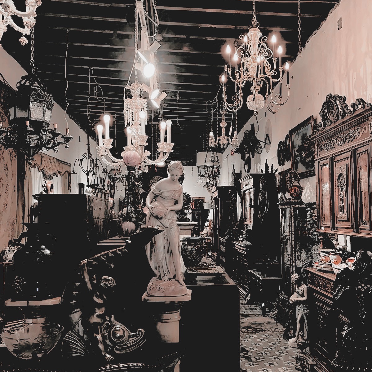 ᅠ
    ⠀𓉸ྀི⠀⠀THORN .⠀⠀⌗𓂃
       park  velen  …  🩸  ཻུ۪۪໒꒱ིྀ
       vampire owner of an
       🪡 ྀ  ..  antique  store.
ᅠ