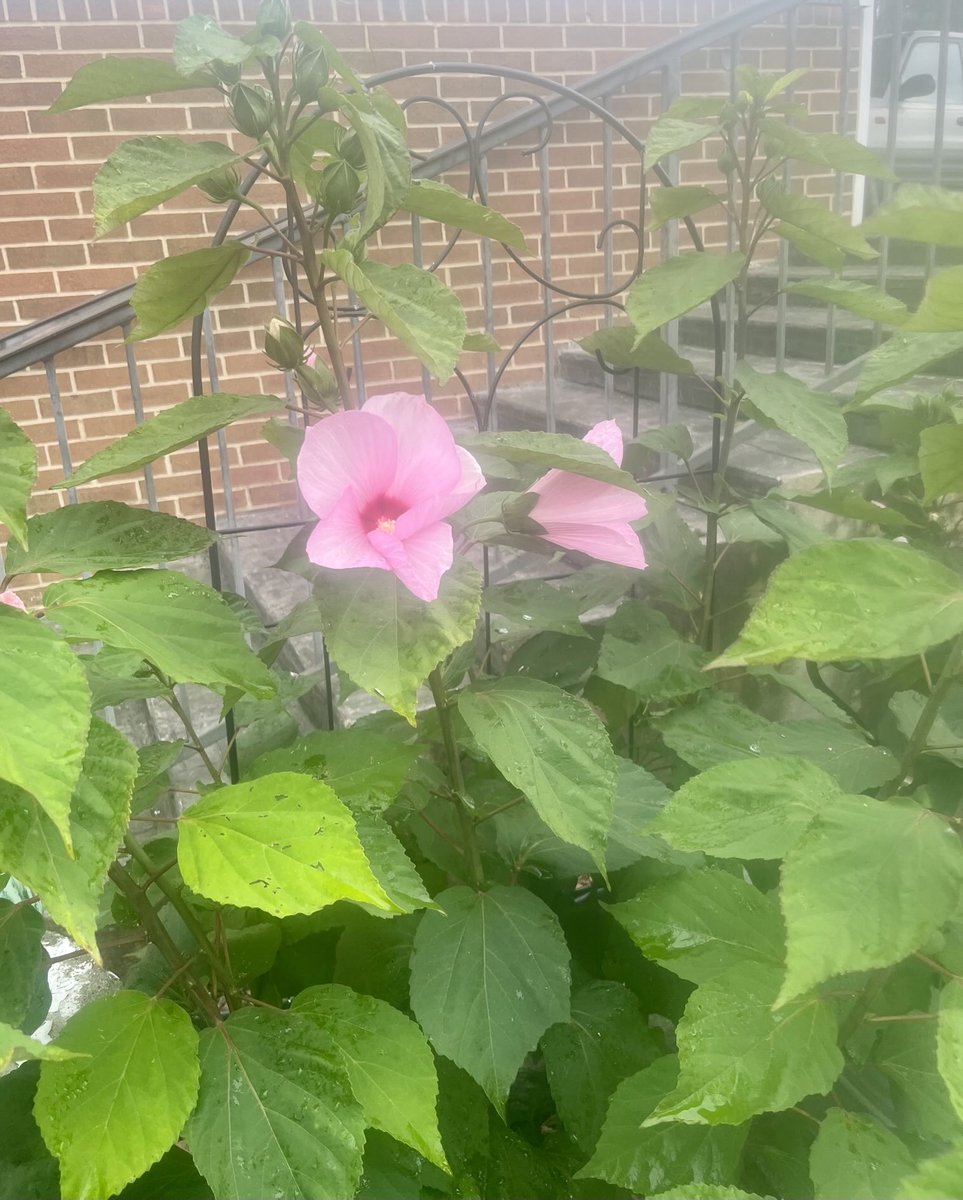 Amy🌾 (@carchellamy) on Twitter photo 