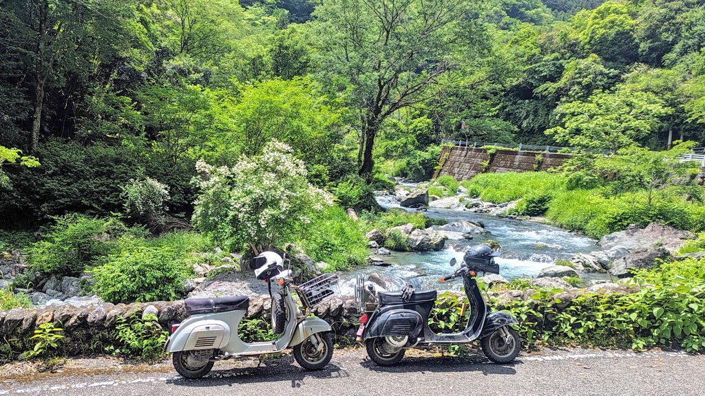 こういう川に今すぐ飛び込みたい。