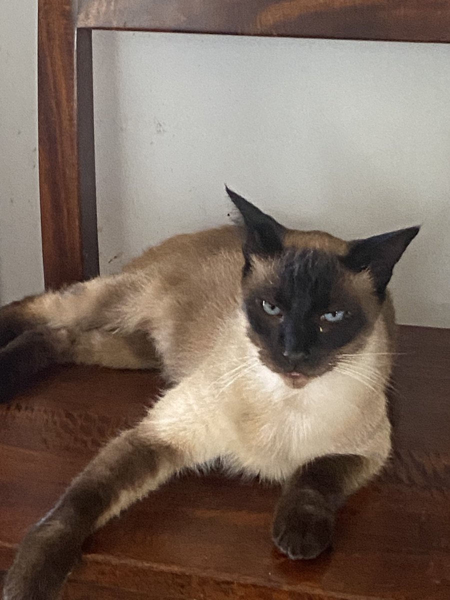 We got some more items from our Amazon wush list but no name. We would like to thank the anonymous person. You can send me a PM and I promise I won’t announce your name if you want to keep it private. God Bless you dear friend <a href="/CandyLiggett/">Candy Liggett 🐾</a>