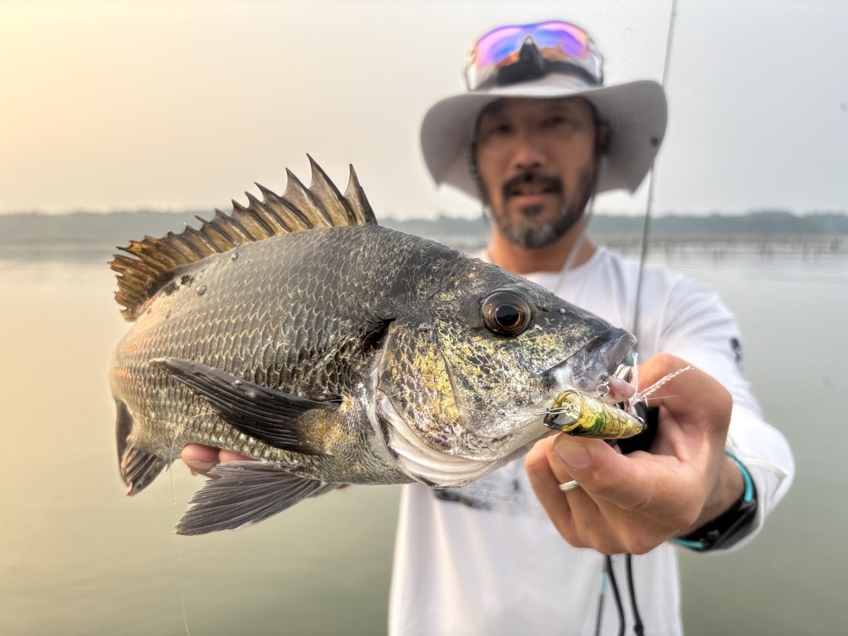 先週土曜は #浜名湖 の #フィッシングガイド 555（555-fishing-guide.com
）の鈴木さんにミッチリ #チニング　特訓してもらい、トップで3枚、フリーリグで4枚（途中からカウントしてない）も釣れました。いやーまじでスゴかった。ボコボコだった。上手くなったと勘違いした。
また行きます！