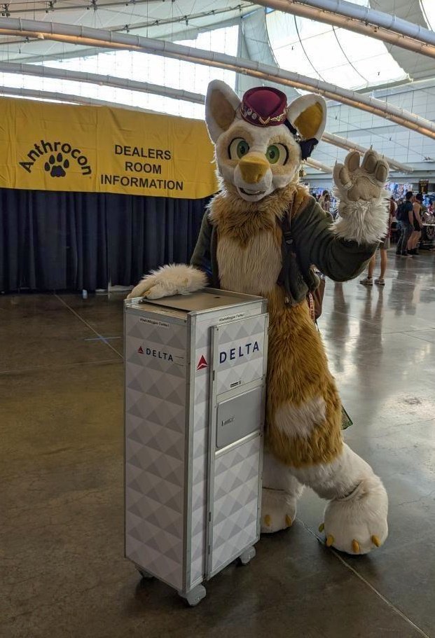 Thank you for fly AirFox, our fox attendants will be around shortly ✈️🦊