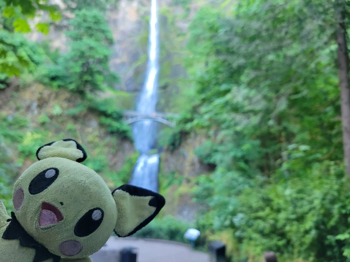 Checking out the Oregon waterfall corridor with Pichu!