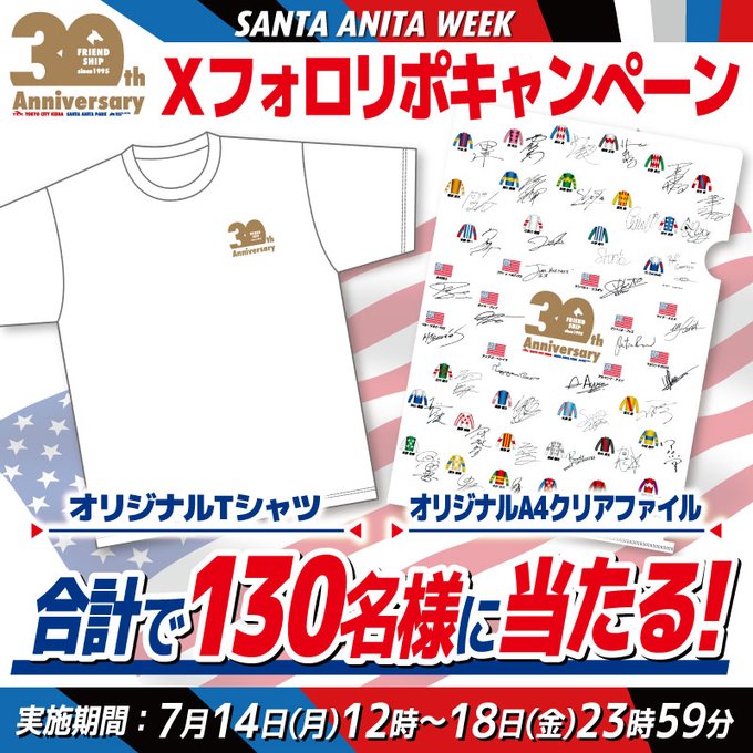 サンタアニタウィーク 限定クリアファイル 当選証明書付属 サンタ