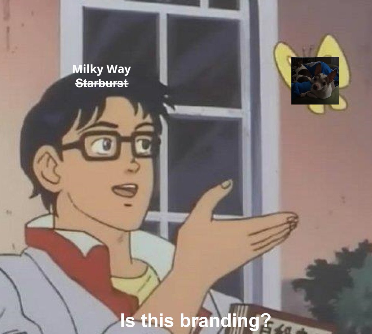 I’m not unprivate my alt so let me use my main