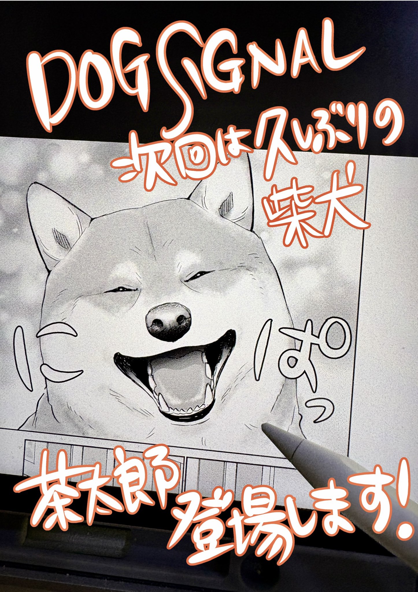 DOG ＳＩＧＮＡＬ ドッグシグナル Amazon.co.jp: DOG SIGNAL 1 (BRIDGE COMICS) : みやうち 沙矢: 本