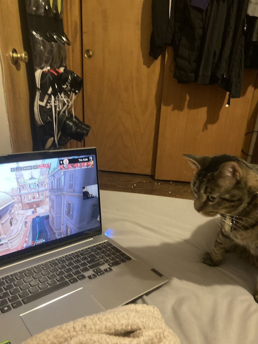 giants are up 2-0. the felines r watching. tune in.