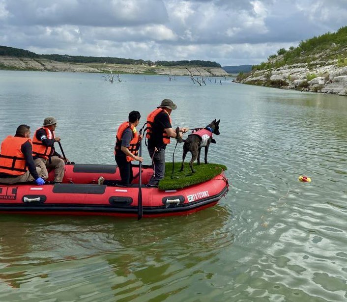 🇺🇸 y 🇲🇽 están unidos, no solo como vecinos, sino como familia, especialmente en tiempos de necesidad. Los equipos caninos mexicanos, entrenados con apoyo de los EE.UU. para misiones de seguridad, están ahora en Texas ayudando a las familias a encontrar a sus seres queridos