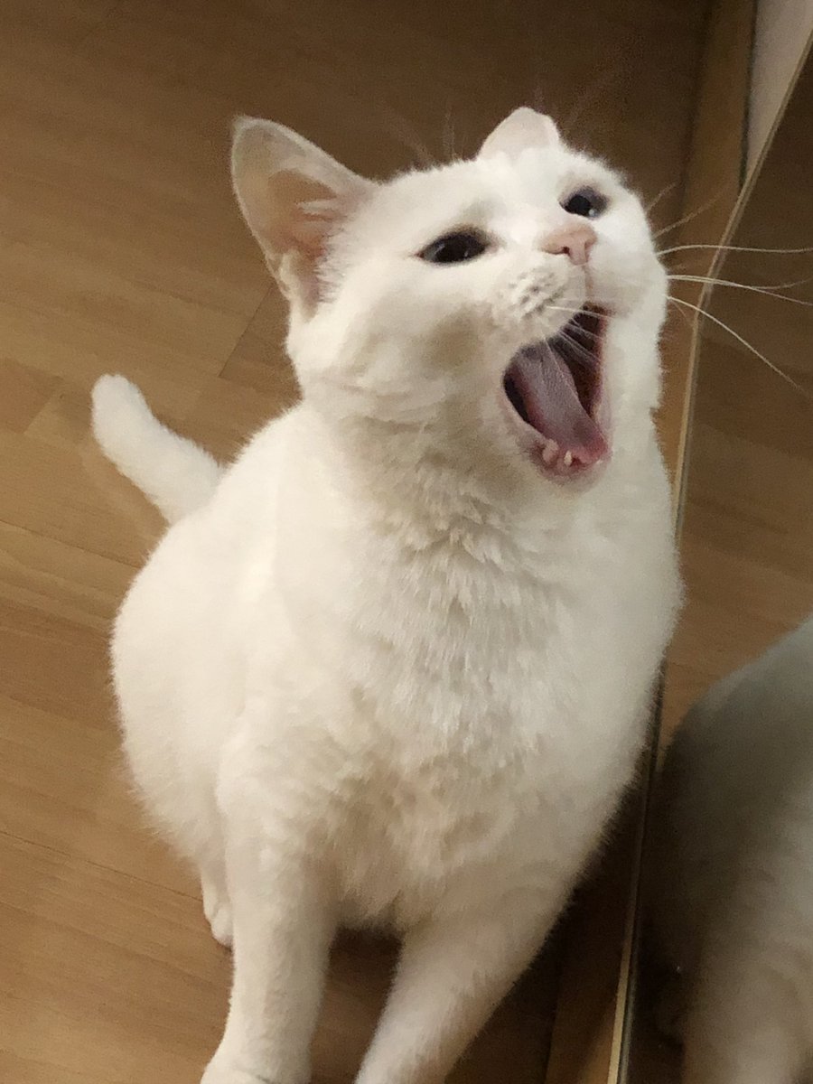 福利姬吊丝尸块姐分享的黄推图片2 - 网红私拍内容