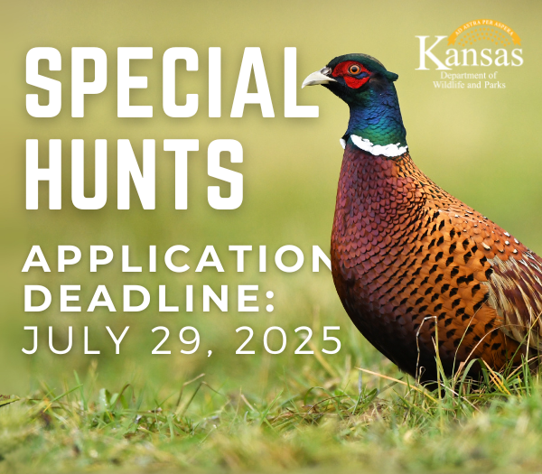 🎯 Special Hunt apps close July 29!
Apply now for access to unique fall/winter hunting opportunities:
👉 ksoutdoors.com/Hunting/Specia…