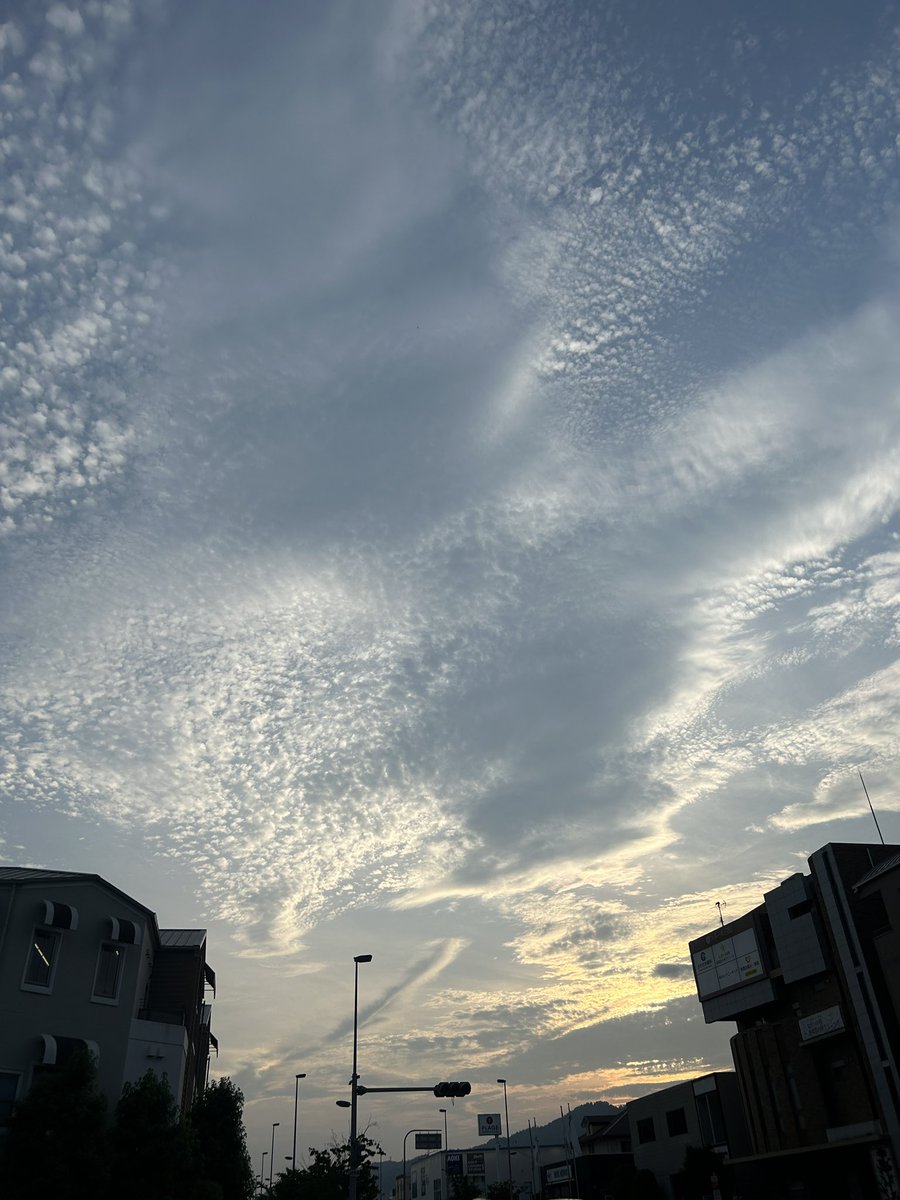 aljapa44's tweet photo. 最近の夕方散歩でお気に入りがコチラ
#iPhone写真
#散歩撮り
#過去空 https://t.co/csslrAy1zb