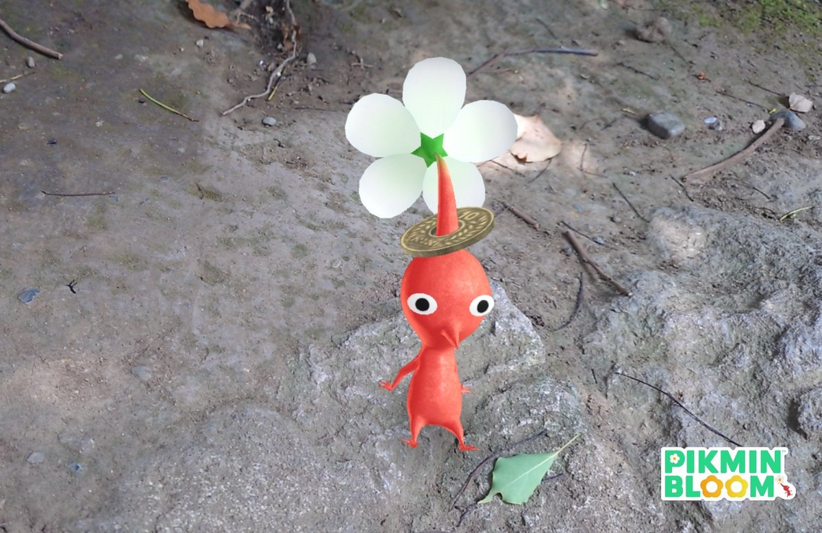 あいつのコインほしい🪙
今度は10周年な👍
#PokemonGO 
#PikminBloom 
#NianticAR
#ARoftheDay #田無神社