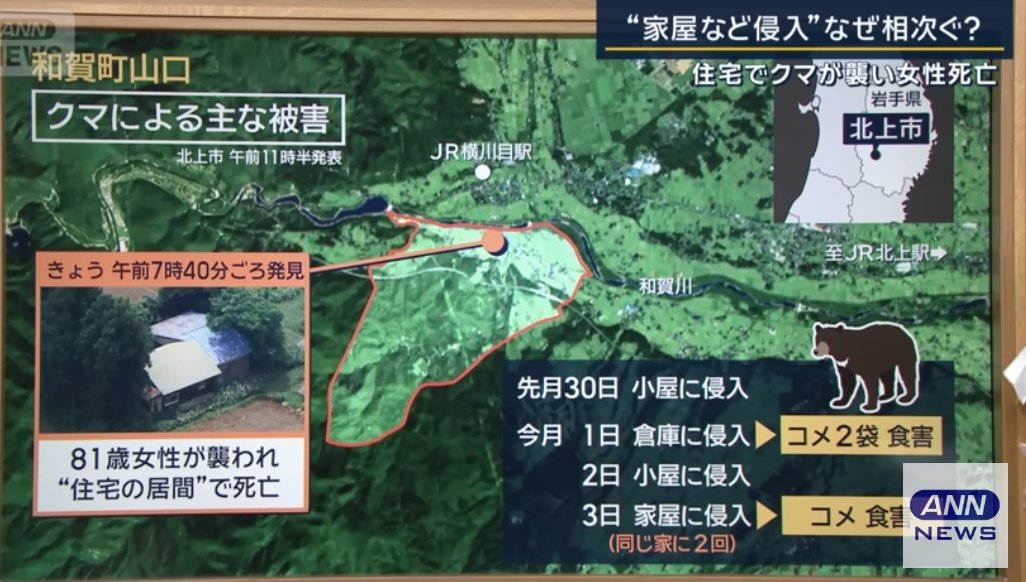 kumamoriBranch's tweet image. 4日岩手県北上市81歳女性が開いていた玄関から入った熊に襲われ死亡→それまでに近隣で食物に誘引され通っていた熊が(食物に誘引又は隠れるため)たまたま人がいないと思って入った時に鉢合わせし、女性が驚きパニックになり熊も驚き恐怖から興奮してしまったのではないかと。
g.co/kgs/1tu8873