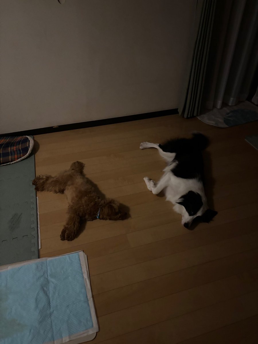 ういんぐ (@astro_ez1) on Twitter photo 